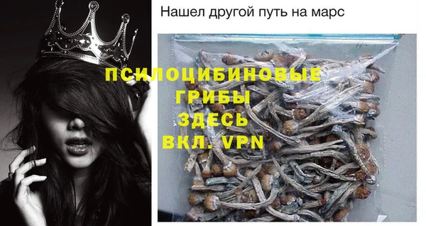 экстази Богданович